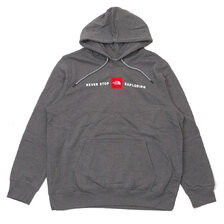 THE NORTH FACE M RED'S PULLOVER HOODIE GREY HEATHER画像