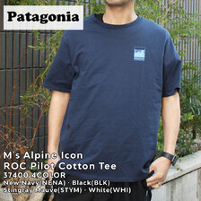 patagonia 22SS M's Alpine Icon ROC Pilot Cotton Tee 37400画像