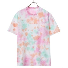 THE NORTH FACE S/S Tie Dye Tee NT32251画像