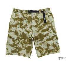 THE NORTH FACE Novelty Class V Cargo Short NB42233画像