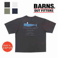 BARNS タフネック プリントTシャツ WAHLE SEA GRELLS BR-22212画像