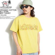 The Endless Summer TES ORGANIC COTTON ALL STAR BIG T-SHIRT -YELLOW- FH-2574344画像