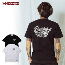 ANIMALIA SCRIPT AN22SU2-TE01画像