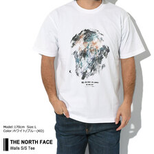 THE NORTH FACE Walls S/S Tee NT12211画像