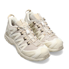 SALOMON XA PRO 3D Rainy Day/Vanila/Wht L41617600画像