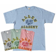 WAREHOUSE Lot 4096 88/12杢クルーネックT ALLEN画像