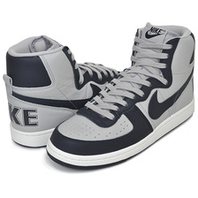 NIKE TERMINATOR HIGH granite/dark obsidian-sail FB1832-001画像