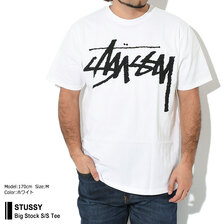 STUSSY Big Stock S/S Tee 1904843画像