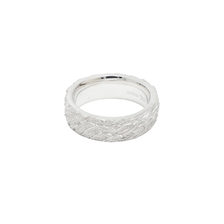 Castro Smith Feather Band画像