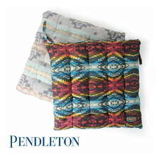 PENDLETON Chair Pat 19801650画像