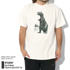 STUSSY Big & Meaty Pigment Dyed S/S Tee 1904880画像