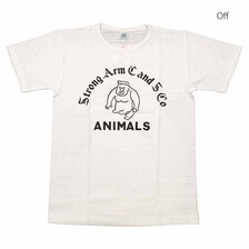 John Gluckow Lot JG-CS05 ANIMALS画像