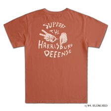 DELUXEWARE MT-2302 DEFENDER画像