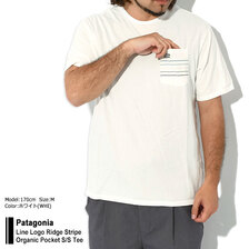 patagonia Line Logo Ridge Stripe Organic Pocket S/S Tee 37587画像