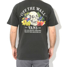 VANS Ground Up S/S Tee VN0006DF画像