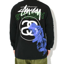 STUSSY Test Strike Pigment Dyed L/S Tee 1994915画像