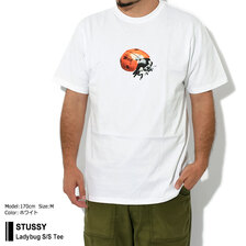STUSSY Ladybug S/S Tee 1904899画像