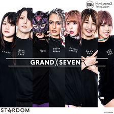 HTML ZERO3 × STARDOM Grand Seven S/S Tee T609画像