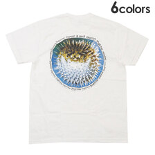 Supreme 23SS Blowfish Tee画像