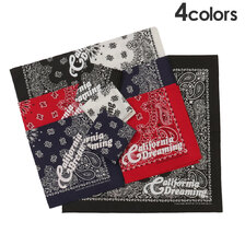 RHC Ron Herman &times; HAV-A-HANK PAISLEY BANDANA画像