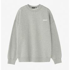 THE NORTH FACE Never Stop ING Crew Sweat NT62334画像