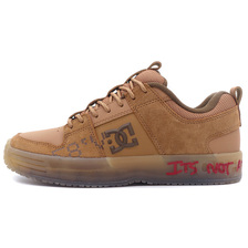 DC SHOES LYNX "DCV'87" BROWN DM234105-BRN画像