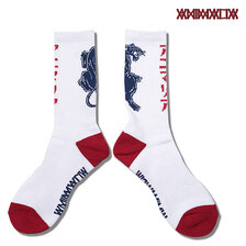 ANIMALIA SOX - Panther - AN23SP-AC02B画像
