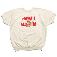 WAREHOUSE Lot 4084 半袖SW HAWAII ALOHA画像