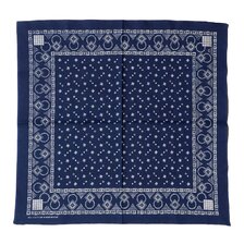 WAREHOUSE Lot 5227 SELVEDGE INDIGO BANDANA D柄(SQUARE)画像