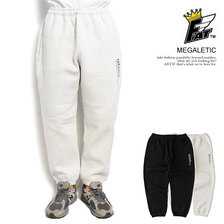 FAT MEGALETIC F32320-PN14画像