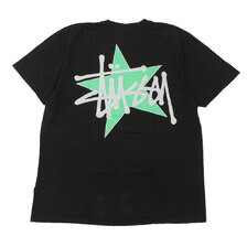 STUSSY STUSSY STAR PIG DYED TEE画像