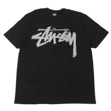 STUSSY DIZZY STOCK TEE画像
