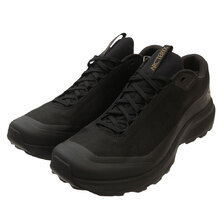 ARC'TERYX AERIOS FL 2 GTX BLACK/BLACK X000006553画像