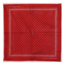 DALEE'S & CO CRIMSON CLOTH画像