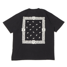 Carhartt S/S PAISLEY T-SHIRT Black / Wax I032439画像