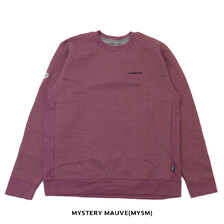 patagonia 23FW Fitz Roy Icon Uprisal Crew Sweatshirt 39667画像