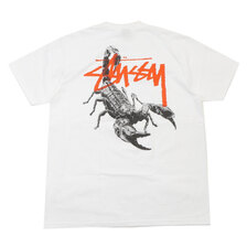 STUSSY SCORPION TEE画像