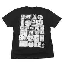 STUSSY DOG COLLAGE TEE画像