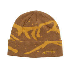 ARC'TERYX Grotto Toque Relic/Yukon X000009253画像