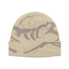 ARC'TERYX Grotto Toque Arctic Silk/Warm Stone X000009253画像