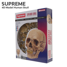 Supreme 23FW 4D Model Human Skull画像
