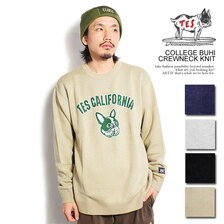 The Endless Summer TES COLLEGE BUHI CREWNECK KNIT AS-23774300画像