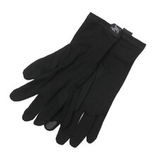 ARC'TERYX Gothic Glove X000006539画像