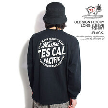 The Endless Summer TES OLD SIGN FLOCKY LONG SLEEVE T-SHIRT FH-24374316画像