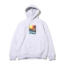 adidas ADI PIC HOODIE LGREYH IS2907画像