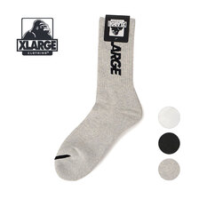 X-LARGE STANDARD LOGO SOCKS 101241054006画像