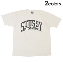 STUSSY INTERNATIONAL PIG DYED TEE画像