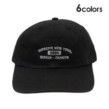 Supreme 24SS New York Arc 6-Panel画像