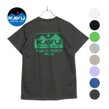 KAVU TRUE LOGO Tee 19822032画像