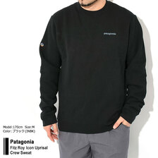 patagonia Fitz Roy Icon Uprisal Crew Sweat 39667画像